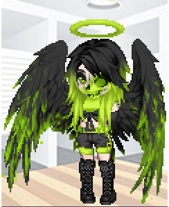User Image